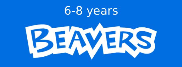 beavers_box